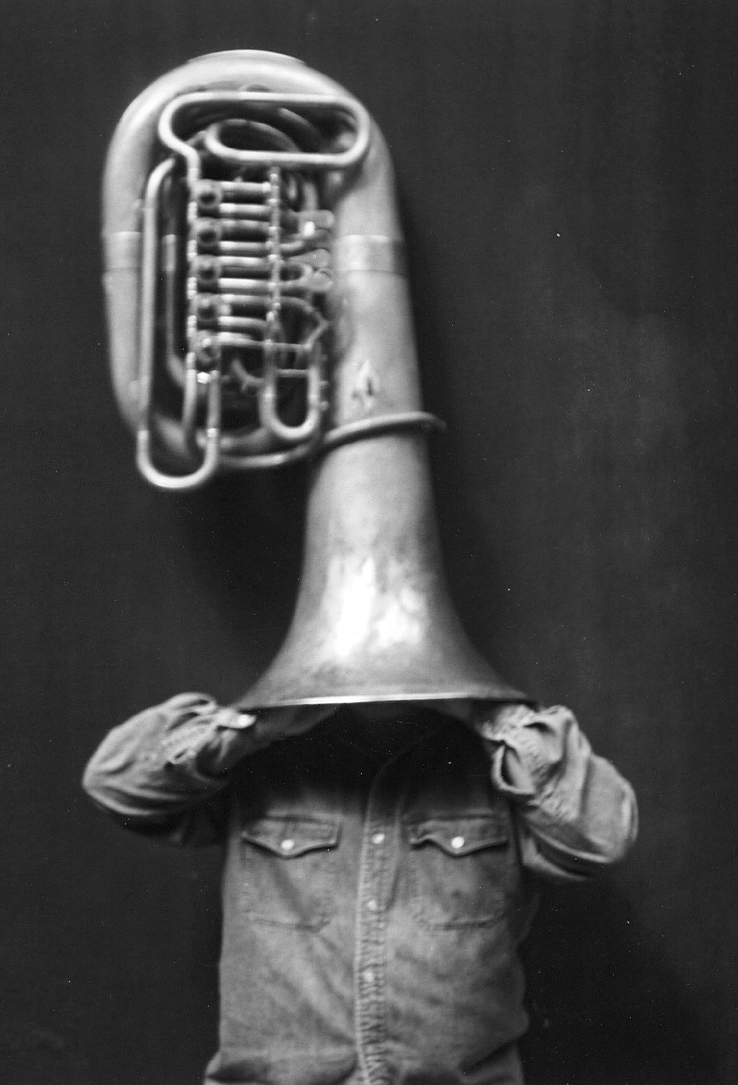 Head in a Tuba