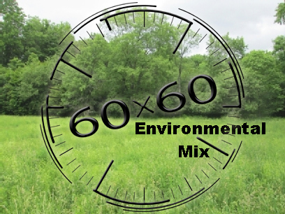 60x60 Environmental Mix